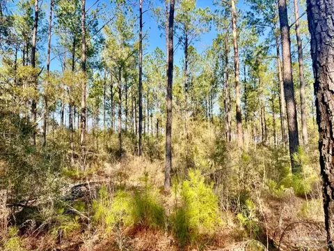 lot82 Naturewalk Dr, Pace, FL 32571 photo 10