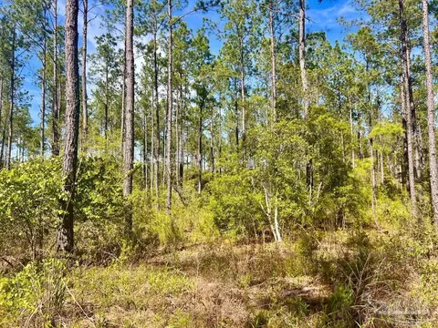 lot82 Naturewalk Dr, Pace, FL 32571 photo 6