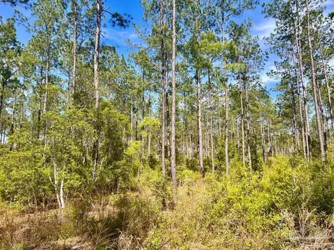 lot82 Naturewalk Dr, Pace, FL 32571 photo 7