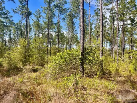 lot82 Naturewalk Dr, Pace, FL 32571 photo 8
