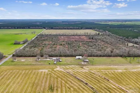 View/Area - 1911 Ard Field Rd, Jay, FL 32565 photo 6 of 8
