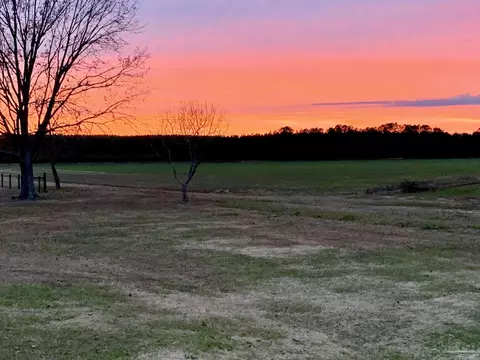 Exterior - 1911 Ard Field Rd, Jay, FL 32565 photo 18 of 18