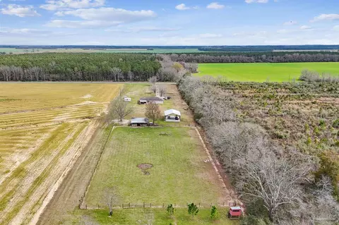 View/Area - 1911 Ard Field Rd, Jay, FL 32565 photo 1 of 8