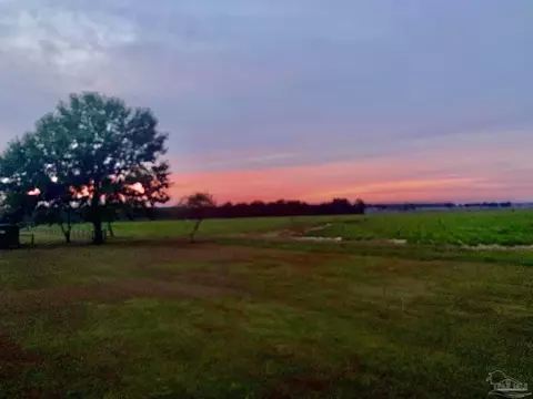 View/Area - 1911 Ard Field Rd, Jay, FL 32565 photo 2 of 8