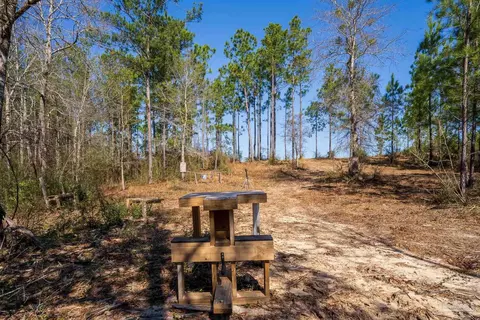 1985 Molino Bridge Rd, Pace, FL 32571 photo 18