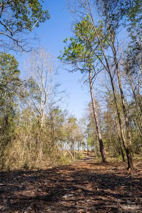 1985 Molino Bridge Rd, Pace, FL 32571 photo 28