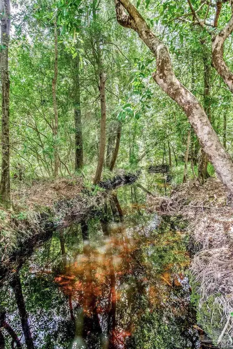 Other - 4664 Kolb Rd, Milton, FL 32570 photo 8 of 9