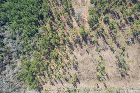 lot1 Hwy 178, Jay, FL 32565 photo 3