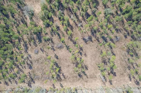 lot2 Hwy 178, Jay, FL 32565 photo 3