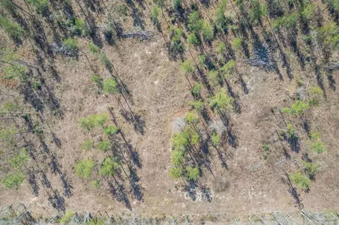 lot3 Hwy 178, Jay, FL 32565 photo 3