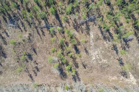 lot4 Hwy 178, Jay, FL 32565 photo 3