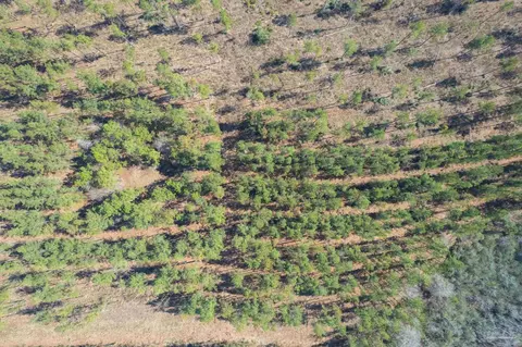 lot12 Hwy 89, Jay, FL 32565 photo 2