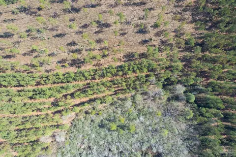 lot13 Hwy 89, Jay, FL 32565 photo 2