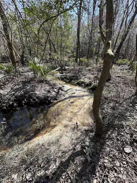 0 Laird Dr, Crestview, FL 32539 photo 8