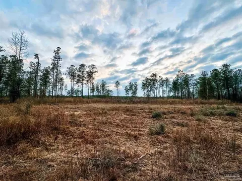 lot5 Hwy 178, Jay, FL 32565 photo 13
