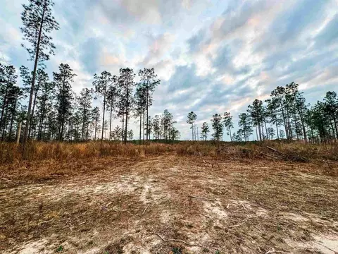 lot5 Hwy 178, Jay, FL 32565 photo 11