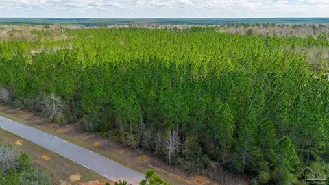 7654 Spears Crossing Ln, Pace, FL 32571 photo 19