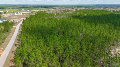 7654 Spears Crossing Ln, Pace, FL 32571 photo 18