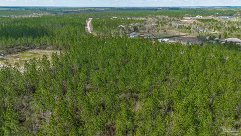 7654 Spears Crossing Ln, Pace, FL 32571 photo 11
