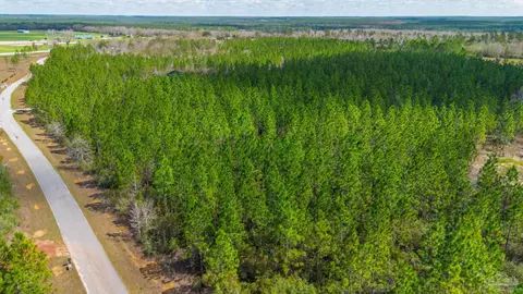 7654 Spears Crossing Ln, Pace, FL 32571 photo 17