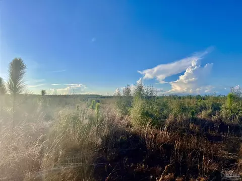 lot57 S Timber Ln, Pace, FL 32571