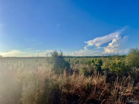 lot57 S Timber Ln, Pace, FL 32571 photo 2