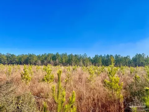 lot10 Rs Hwy 182, Jay, FL 32565