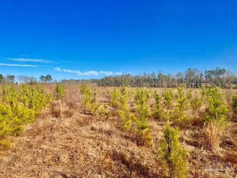 lot14 Rs Hwy 182, Jay, FL 32565 photo 2