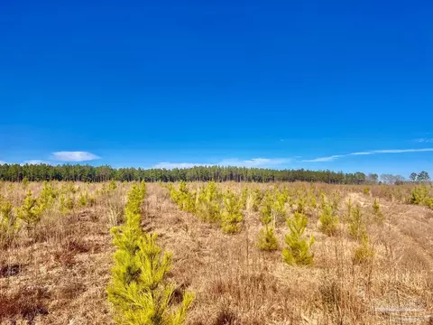 lot14 Rs Hwy 182, Jay, FL 32565 photo 10