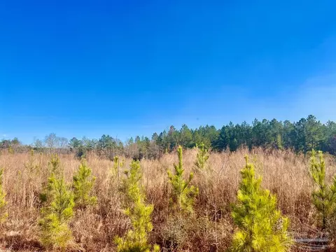 lot14 Rs Hwy 182, Jay, FL 32565 photo 9