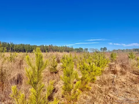lot14 Rs Hwy 182, Jay, FL 32565 photo 7
