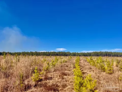 lot14 Rs Hwy 182, Jay, FL 32565 photo 11