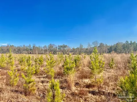 lot14 Rs Hwy 182, Jay, FL 32565 photo 6