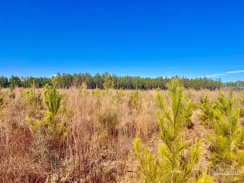 lot14 Rs Hwy 182, Jay, FL 32565 photo 8