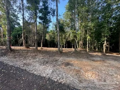 lot4 6318 Donna Dr, Molino, FL 32577