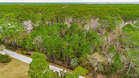 864 Dolphin Rd, Milton, FL 32583 photo 4