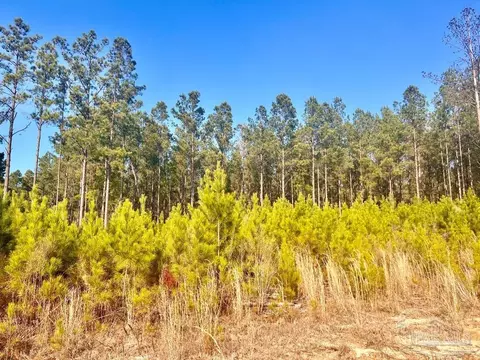 lot13 Rs Hwy 182, Jay, FL 32565 photo 7