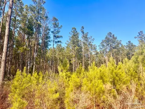 lot13 Rs Hwy 182, Jay, FL 32565 photo 8