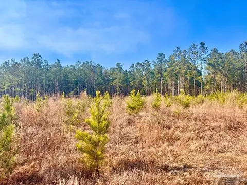 lot13 Rs Hwy 182, Jay, FL 32565 photo 5
