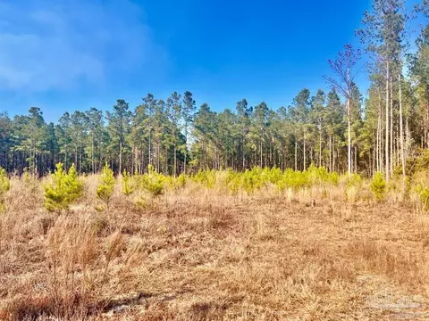 lot13 Rs Hwy 182, Jay, FL 32565 photo 4
