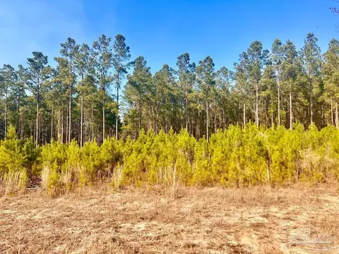 lot13 Rs Hwy 182, Jay, FL 32565 photo 6