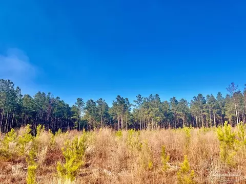 lot13 Rs Hwy 182, Jay, FL 32565 photo 9