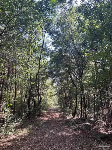 0000 Chinquapin Rd, Milton, FL 32570