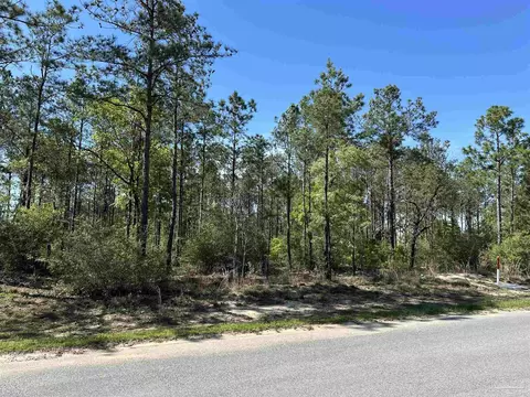 34 Br Buffalo Ridge Rd, Pace, FL 32571 photo 5