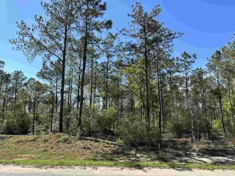 34 Br Buffalo Ridge Rd, Pace, FL 32571 photo 4