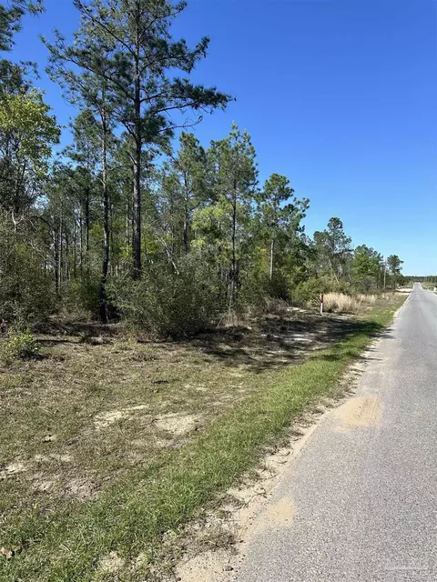 34 Br Buffalo Ridge Rd, Pace, FL 32571 photo 3