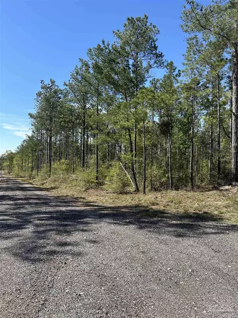 34 Br Buffalo Ridge Rd, Pace, FL 32571 photo 7
