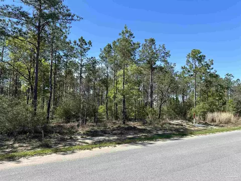 34 Br Buffalo Ridge Rd, Pace, FL 32571 photo 6