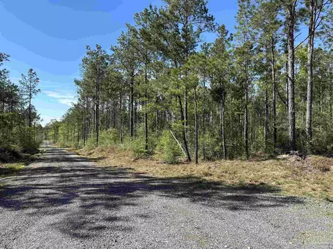 34 Br Buffalo Ridge Rd, Pace, FL 32571 photo 8
