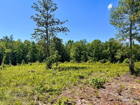 lot2 C Cotton Lake Rd, Molino, FL 32577